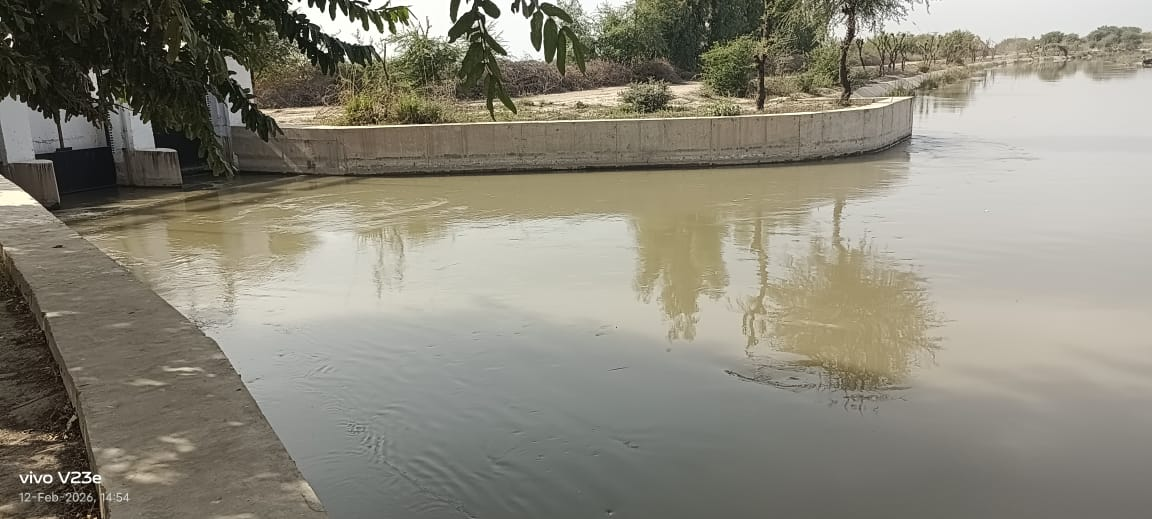 نارا ڪئنال  جي ڪنارن تان  گم ٿيل وڻ 